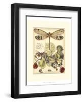 Whimsical Dragonflies II-Vision Studio-Framed Art Print