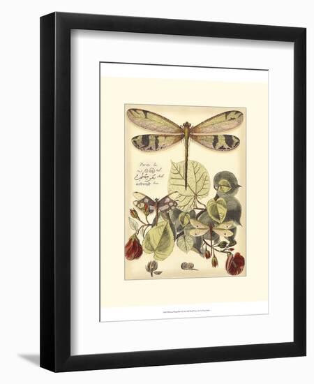 Whimsical Dragonflies II-Vision Studio-Framed Art Print