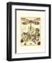 Whimsical Dragonflies II-Vision Studio-Framed Art Print