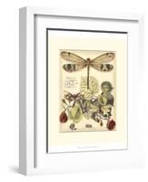 Whimsical Dragonflies II-Vision Studio-Framed Art Print