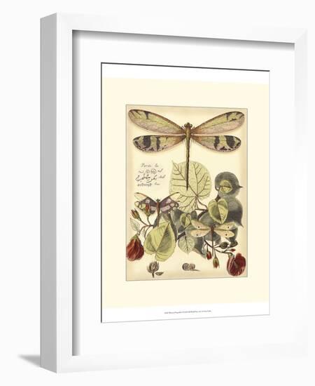 Whimsical Dragonflies II-Vision Studio-Framed Art Print