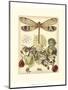 Whimsical Dragonflies II-Vision Studio-Mounted Art Print