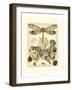 Whimsical Dragonflies II-Vision Studio-Framed Art Print