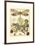 Whimsical Dragonflies II-Vision Studio-Framed Art Print