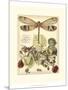 Whimsical Dragonflies II-Vision Studio-Mounted Art Print