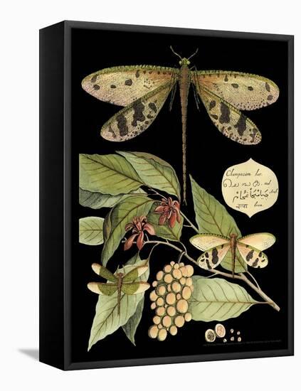 Whimsical Dragonfly on Black I-Vision Studio-Framed Stretched Canvas