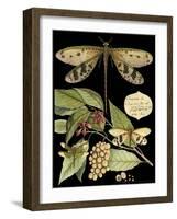 Whimsical Dragonfly on Black I-Vision Studio-Framed Art Print