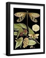 Whimsical Dragonfly on Black I-Vision Studio-Framed Art Print