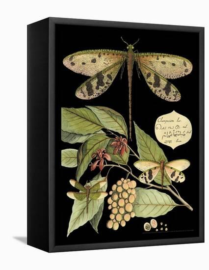 Whimsical Dragonfly on Black I-Vision Studio-Framed Stretched Canvas