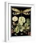 Whimsical Dragonfly on Black II (IE-Vision Studio-Framed Art Print