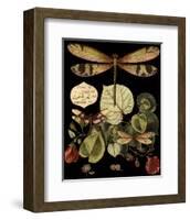 Whimsical Dragonfly on Black II-null-Framed Art Print