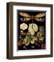 Whimsical Dragonfly on Black II-null-Framed Art Print