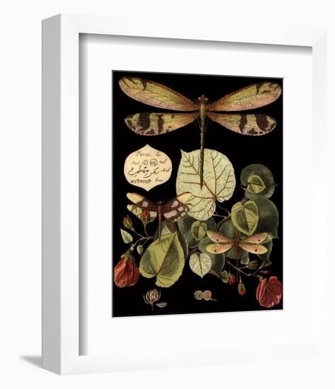 Whimsical Dragonfly on Black II-null-Framed Art Print