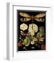 Whimsical Dragonfly on Black II-null-Framed Art Print