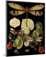 Whimsical Dragonfly on Black II-null-Mounted Art Print