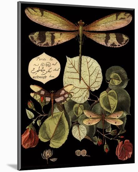 Whimsical Dragonfly on Black II-null-Mounted Art Print