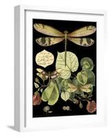 Whimsical Dragonfly on Black II-Vision Studio-Framed Art Print