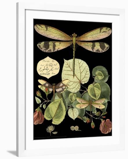 Whimsical Dragonfly on Black II-Vision Studio-Framed Art Print