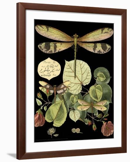 Whimsical Dragonfly on Black II-Vision Studio-Framed Art Print