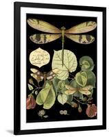 Whimsical Dragonfly on Black II-Vision Studio-Framed Art Print