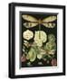 Whimsical Dragonfly on Black II-null-Framed Premium Giclee Print