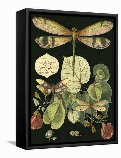 Whimsical Dragonfly on Black II-null-Framed Stretched Canvas