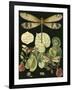 Whimsical Dragonfly on Black II-null-Framed Art Print