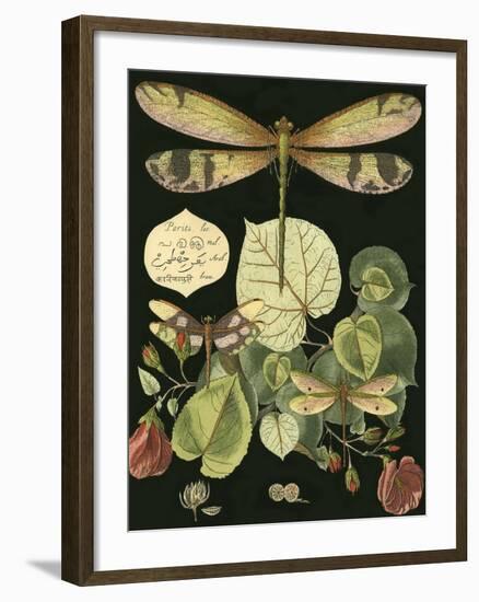 Whimsical Dragonfly on Black II-null-Framed Art Print