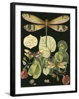 Whimsical Dragonfly on Black II-null-Framed Art Print