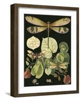 Whimsical Dragonfly on Black II-null-Framed Art Print