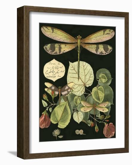 Whimsical Dragonfly on Black II-null-Framed Art Print