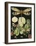 Whimsical Dragonfly on Black II-null-Framed Art Print