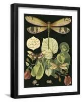 Whimsical Dragonfly on Black II-null-Framed Art Print