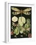 Whimsical Dragonfly on Black II-null-Framed Art Print