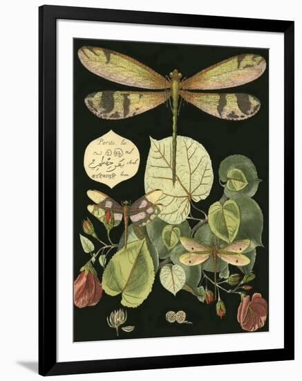 Whimsical Dragonfly on Black II-null-Framed Art Print