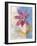 Whimsical Flower 2-Robbin Rawlings-Framed Art Print