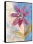 Whimsical Flower 2-Robbin Rawlings-Framed Stretched Canvas