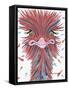 Whimsical Ostrich-Sartoris ART-Framed Stretched Canvas