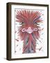 Whimsical Ostrich-Sartoris ART-Framed Giclee Print