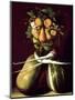 Whimsical Portrait-Giuseppe Arcimboldo-Mounted Premium Giclee Print