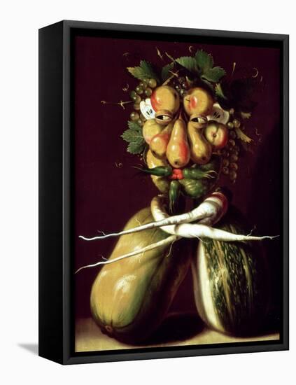 Whimsical Portrait-Giuseppe Arcimboldo-Framed Stretched Canvas