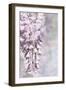 Whimsical Wisteria I-Lori Deiter-Framed Art Print