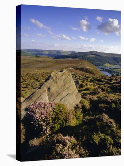 Whinstone Lee Tor and Derwent Moors, Derwent Edge, Peak District National Park, Derbyshire, England-Neale Clarke-Stretched Canvas