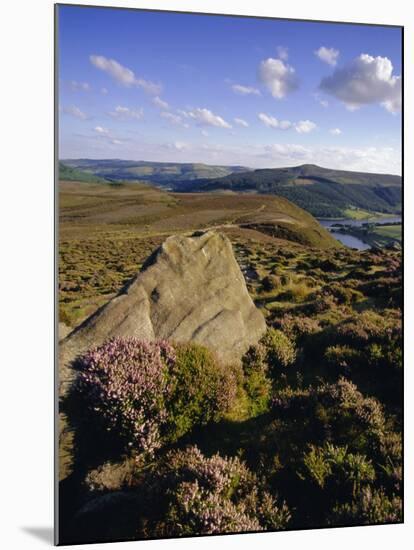 Whinstone Lee Tor and Derwent Moors, Derwent Edge, Peak District National Park, Derbyshire, England-Neale Clarke-Mounted Photographic Print