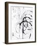 Whip II-Karolina Susslandova-Framed Giclee Print