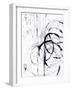 Whip II-Karolina Susslandova-Framed Giclee Print