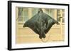 Whip Ray, Miami, Florida-null-Framed Art Print