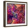 Whip-Josh Byer-Framed Giclee Print