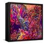 Whip-Josh Byer-Framed Stretched Canvas