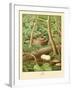 Whippoorwill-null-Framed Art Print